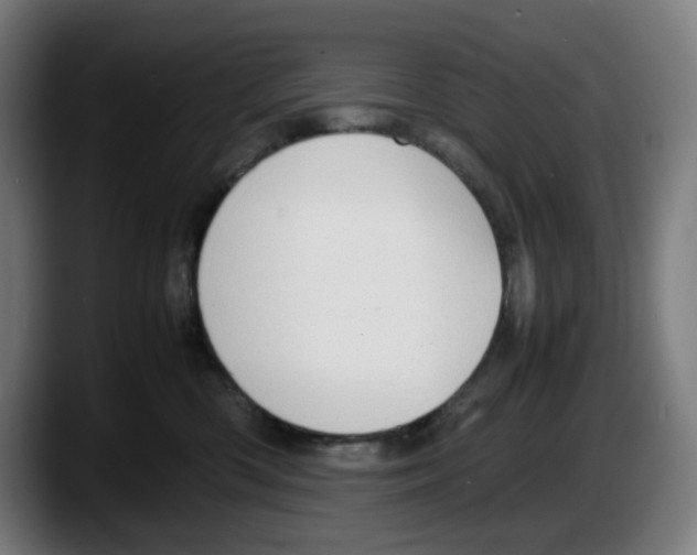 X0000087600426200705251926