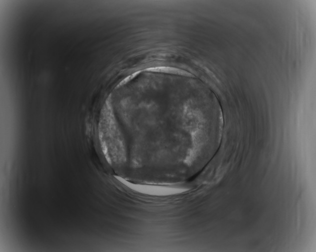 X0000087600432200705251926