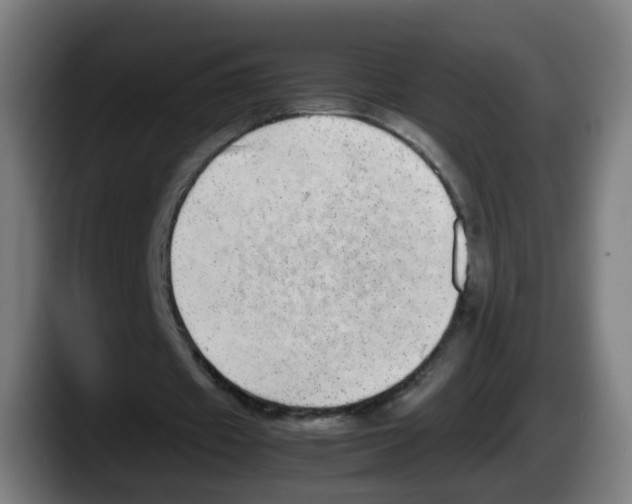 X0000087600433200705251925