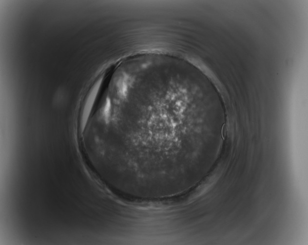 X0000087600434200705251925