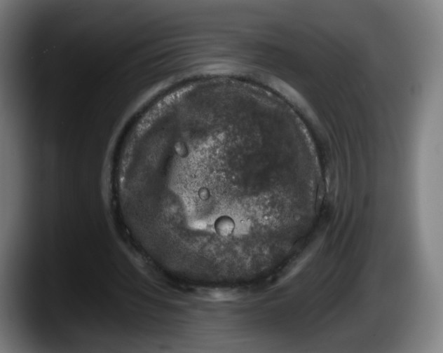 X0000087600436200705251925