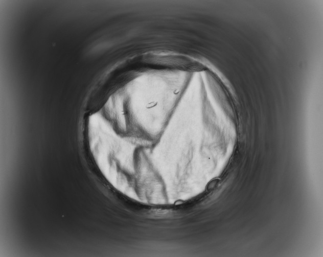 X0000087600437200705251925