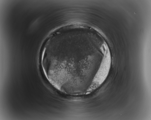 X0000087600438200705251925