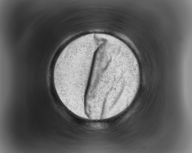 X0000087600439200705251925