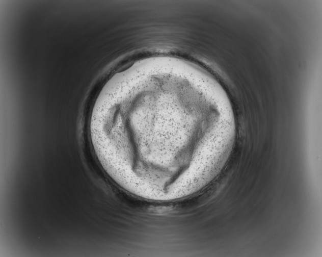 X0000087600440200705251925