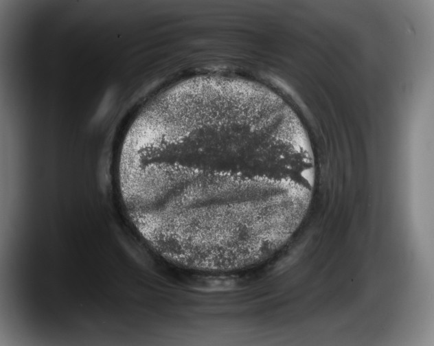 X0000087600443200705251925