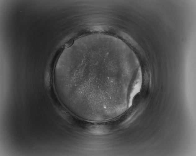 X0000087600444200705251925