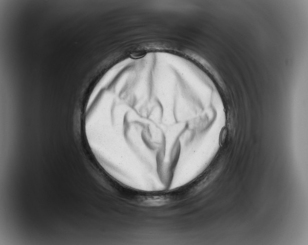 X0000087600445200705251925