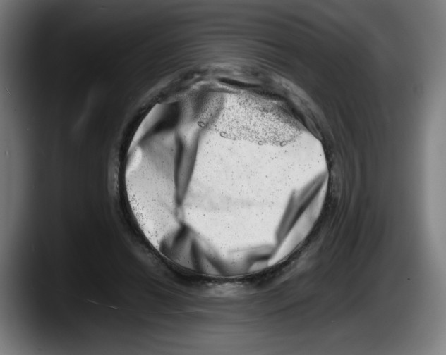 X0000087600446200705251925