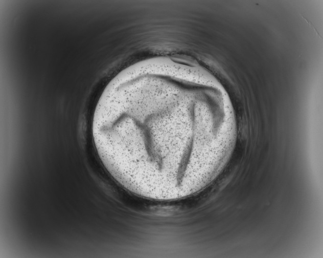 X0000087600448200705251925