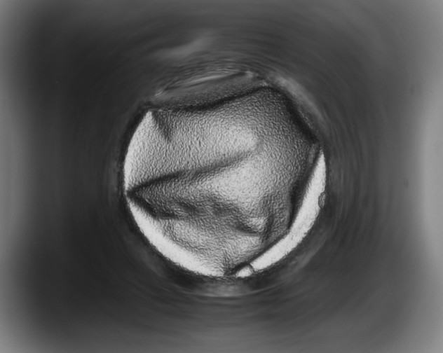 X0000087600449200705251925