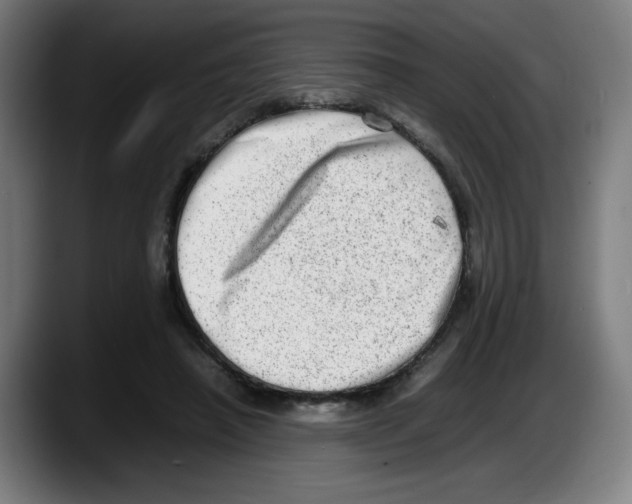 X0000087600450200705251925