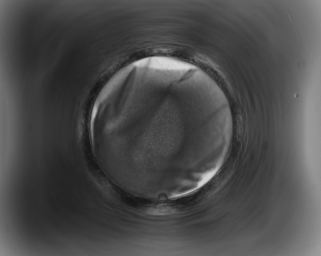 X0000087600451200705251925