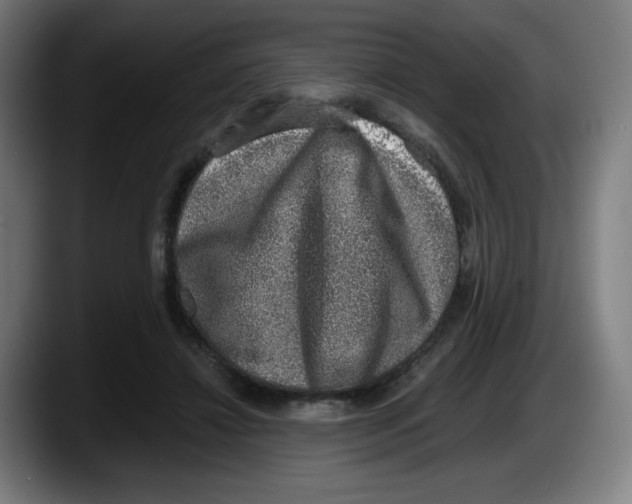 X0000087600452200705251925