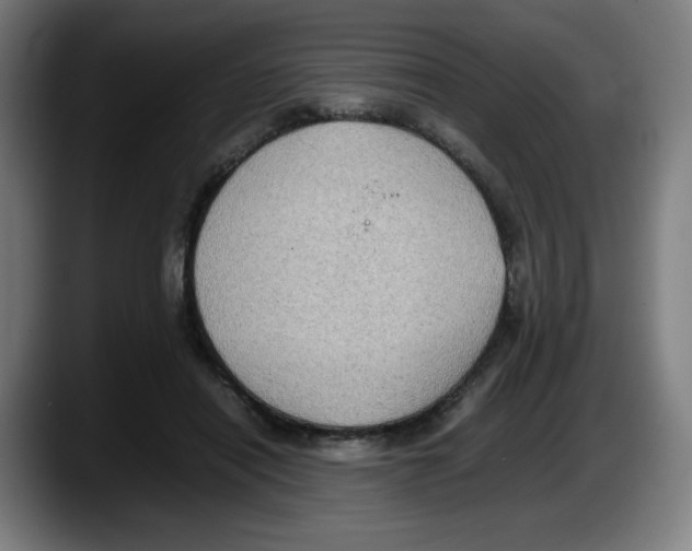 X0000087600454200705251925