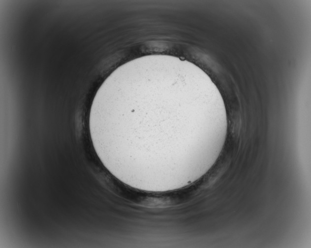 X0000087600455200705251925