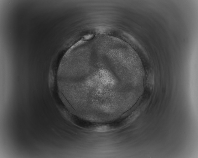 X0000087600456200705251925