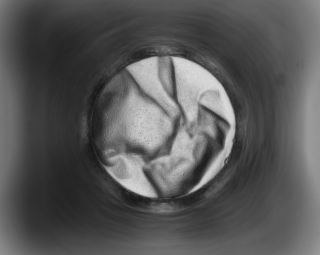 X0000087600457200705251925