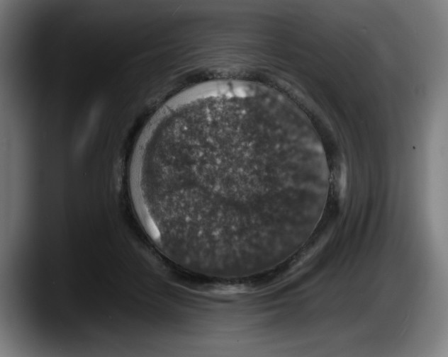 X0000087600458200705251925