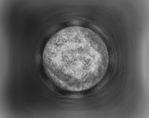 X0000087600459200705251925