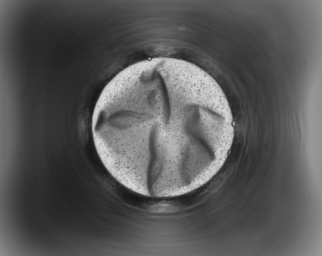 X0000087600460200705251925