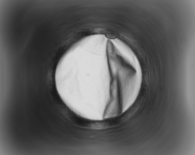 X0000087600461200705251925