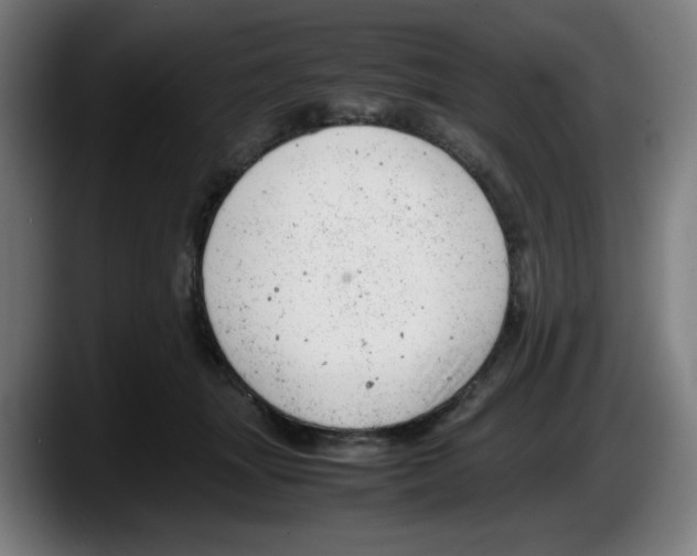 X0000087600463200705251925