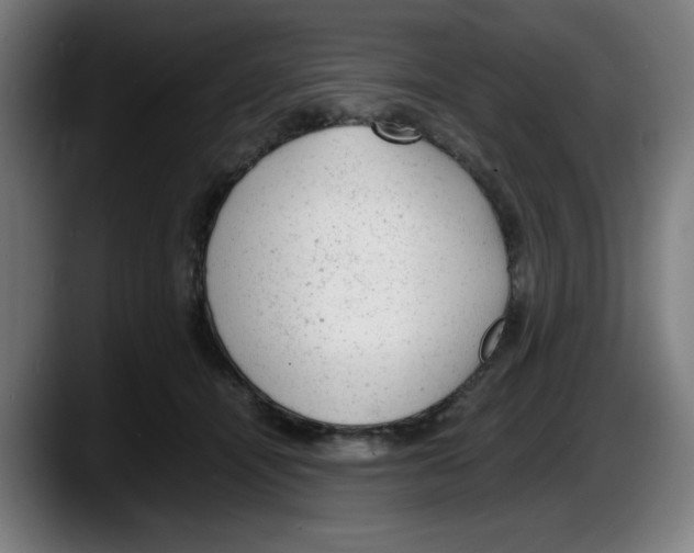 X0000087600464200705251926