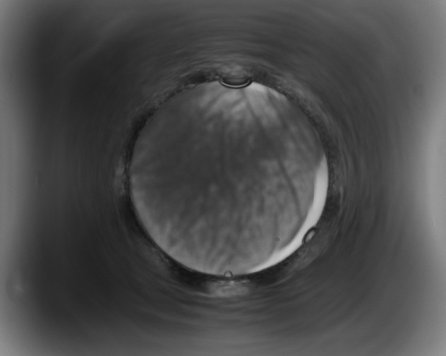 X0000087600465200705251926