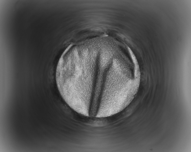 X0000087600466200705251926