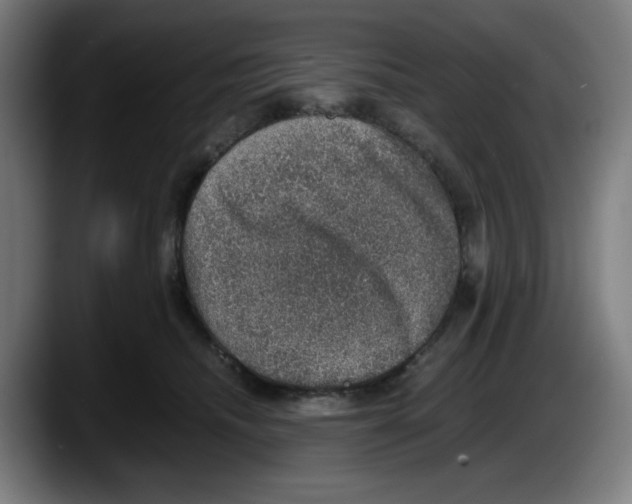 X0000087600468200705251926