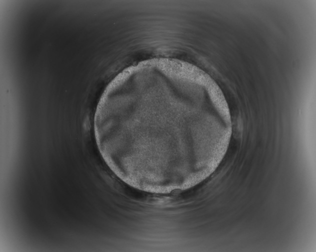 X0000087600472200705251926