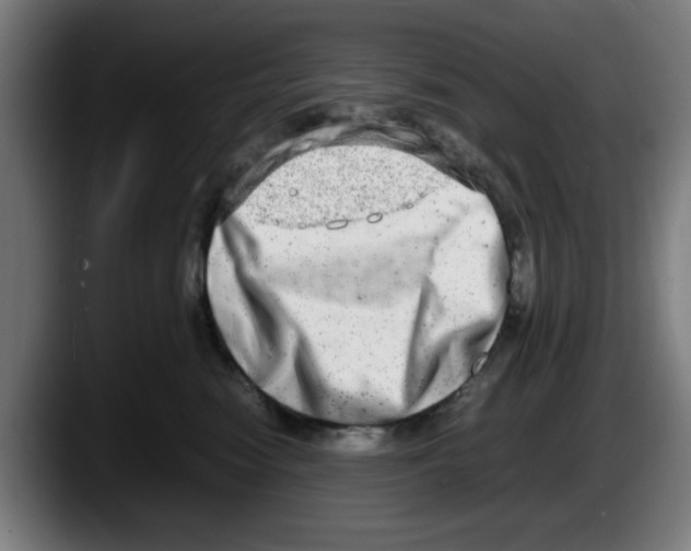 X0000087600474200705251926