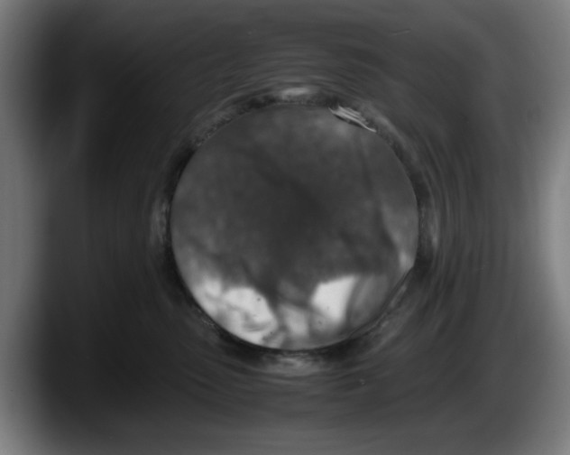 X0000087600475200705251926