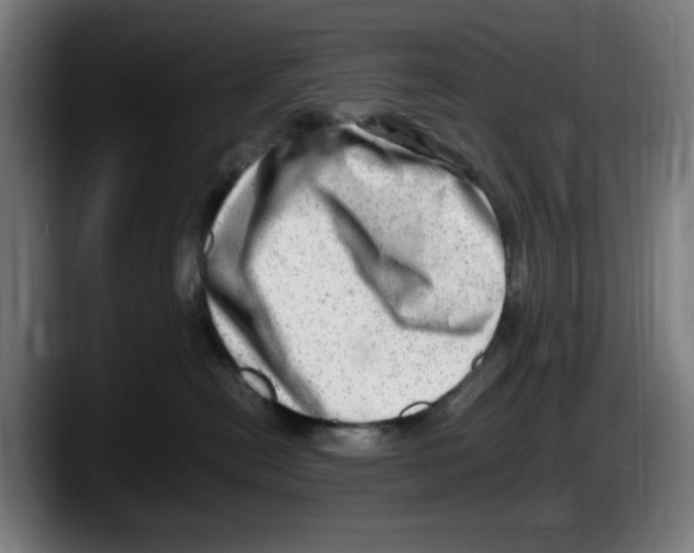 X0000087600478200705251926