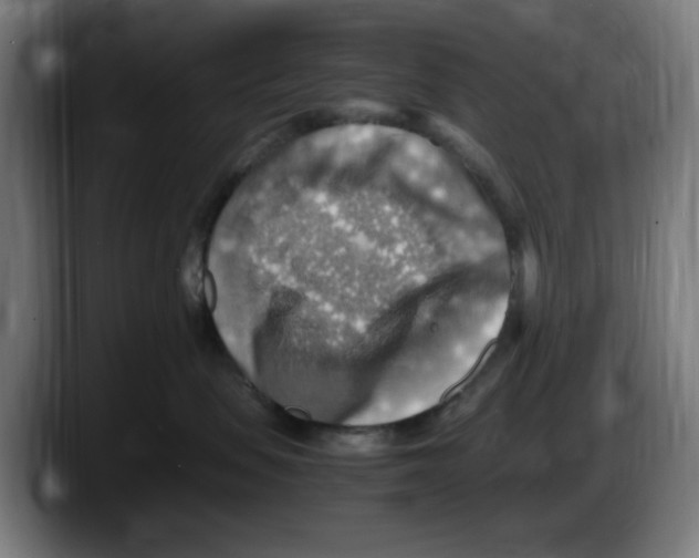 X0000087600479200705251926