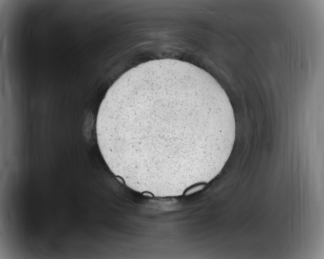 X0000087600480200705251926