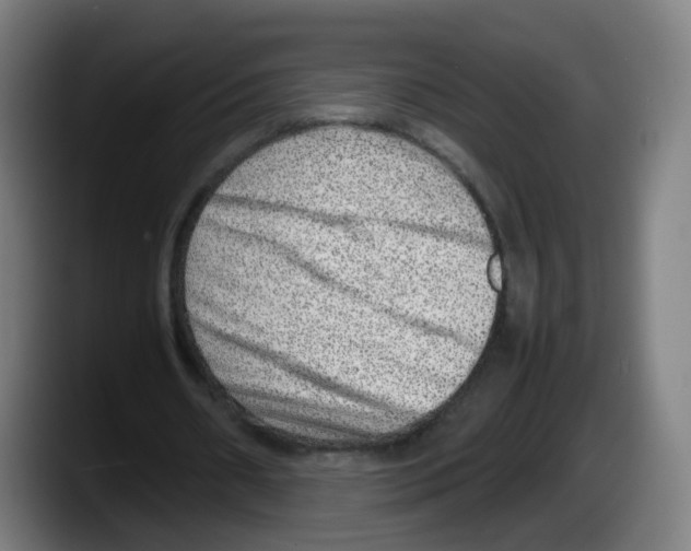 X0000087600482200705251925