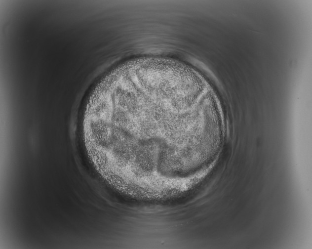 X0000087600483200705251925