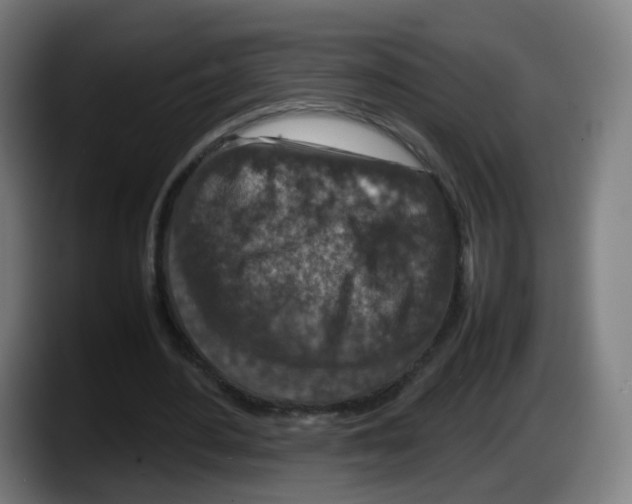 X0000087600484200705251925