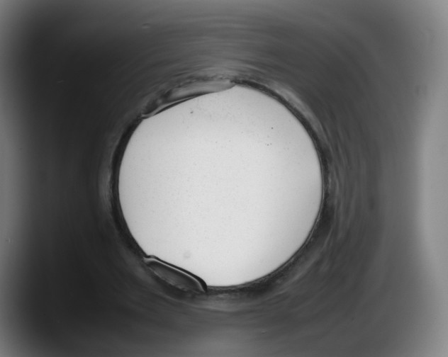 X0000087600485200705251925