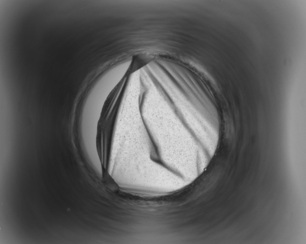 X0000087600486200705251925