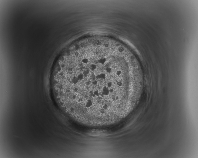 X0000087600487200705251925