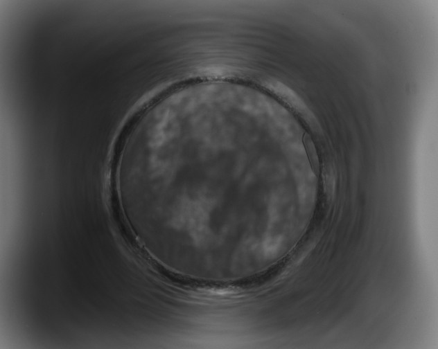 X0000087600488200705251925