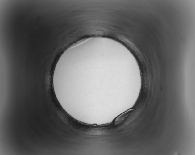 X0000087600489200705251925