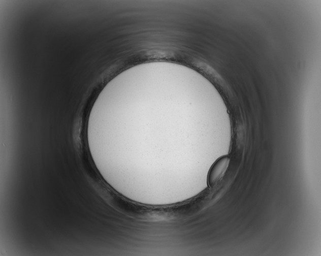 X0000087600490200705251925