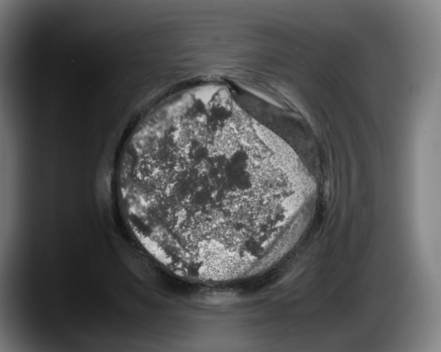 X0000087600491200705251925