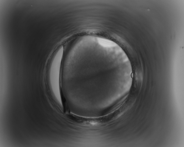 X0000087600492200705251925