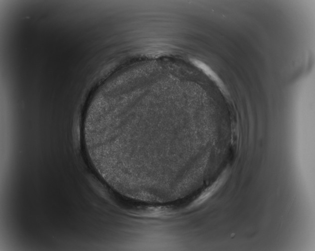 X0000087600493200705251925