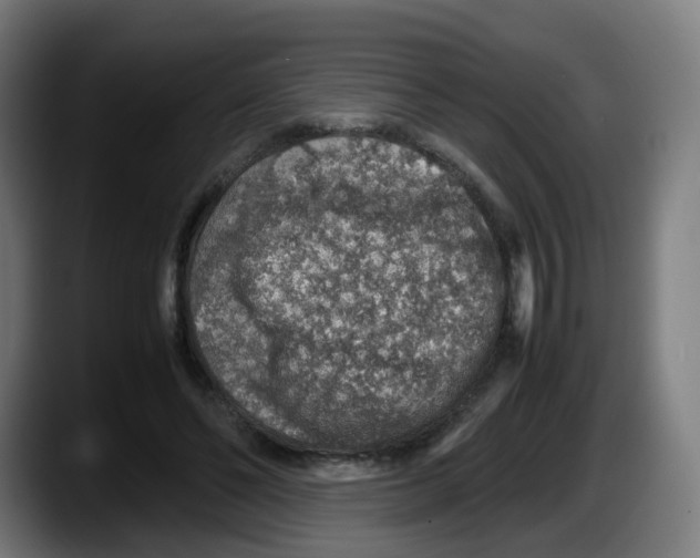 X0000087600494200705251925